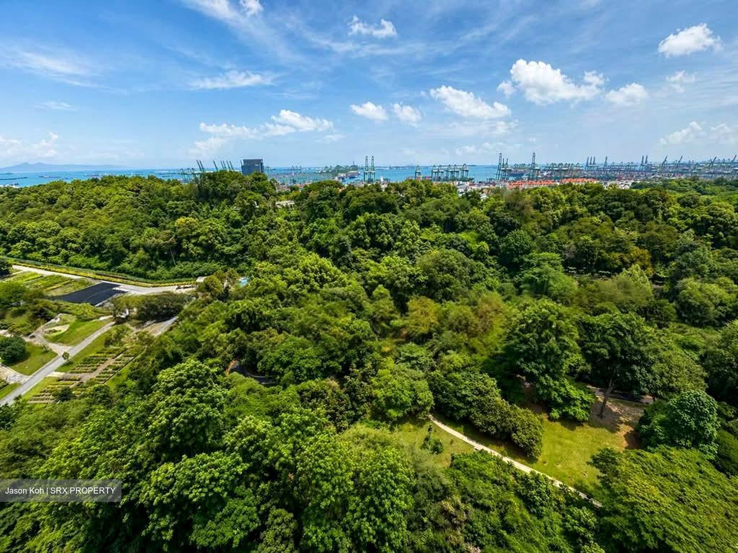 Normanton Park (D5), Apartment #550203741